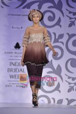 at Rocky S show for Amby Valley Indian Bridal Week on 29th Oct 2010 (26).JPG